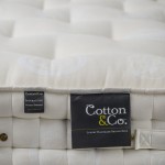 Cotton&Co. - zjednoczone królestwo snu