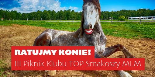 Ratujmy konie! - III Piknik Klubu TOP Smakoszy MLM
