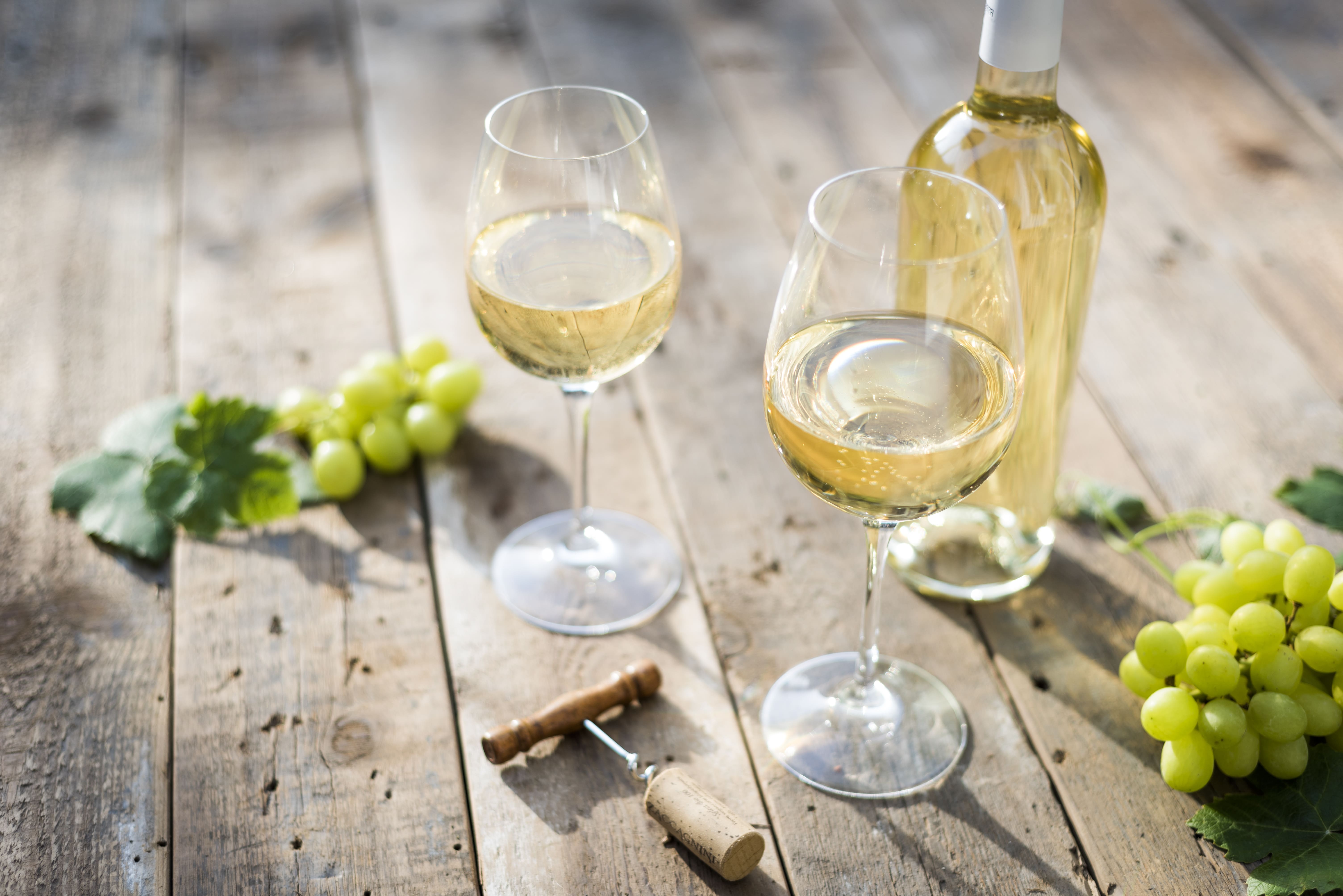 Wino białe wytrawne – do czego pasuje i jak wybrać najlepsze
