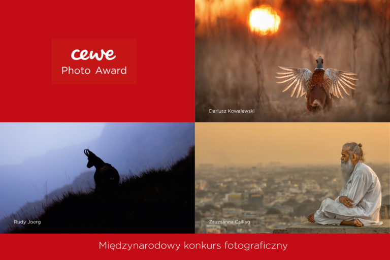 CEWE Photo Award: międzynarodowy konkurs na skalę światową