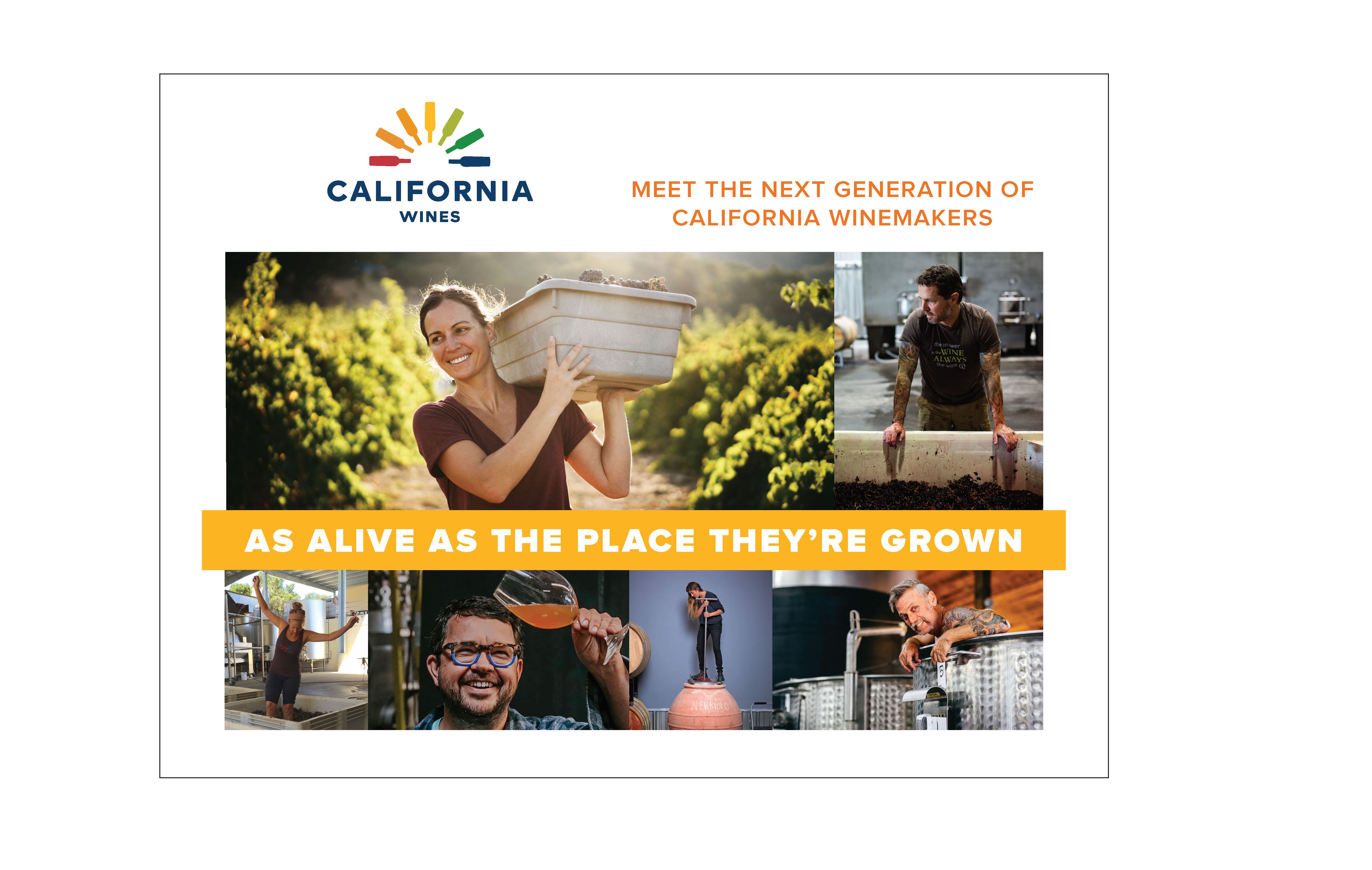 „Golden State of Mind"- startuje nowa kampania wizerunkowa California Wines