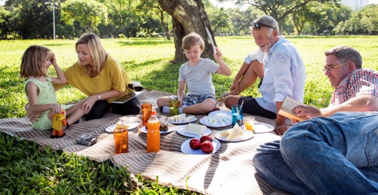 Bezpieczny piknik bez kleszczy i komarów z ViaAroma!