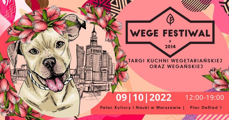 Wege Festiwal już 9 października w Warszawie!